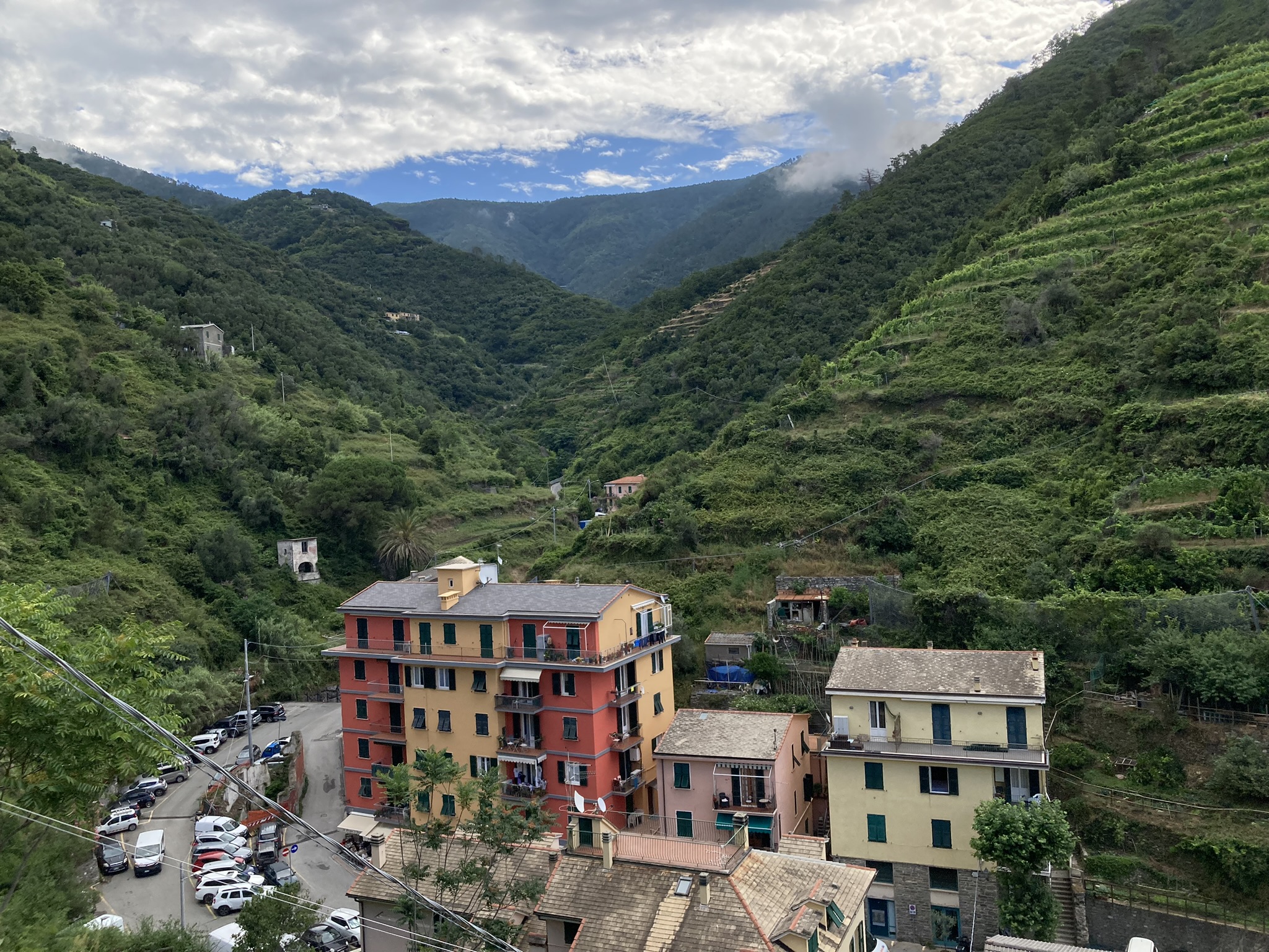 Fieldwork location in the outskirts of Vernazza, Cinque Terre, Italy.