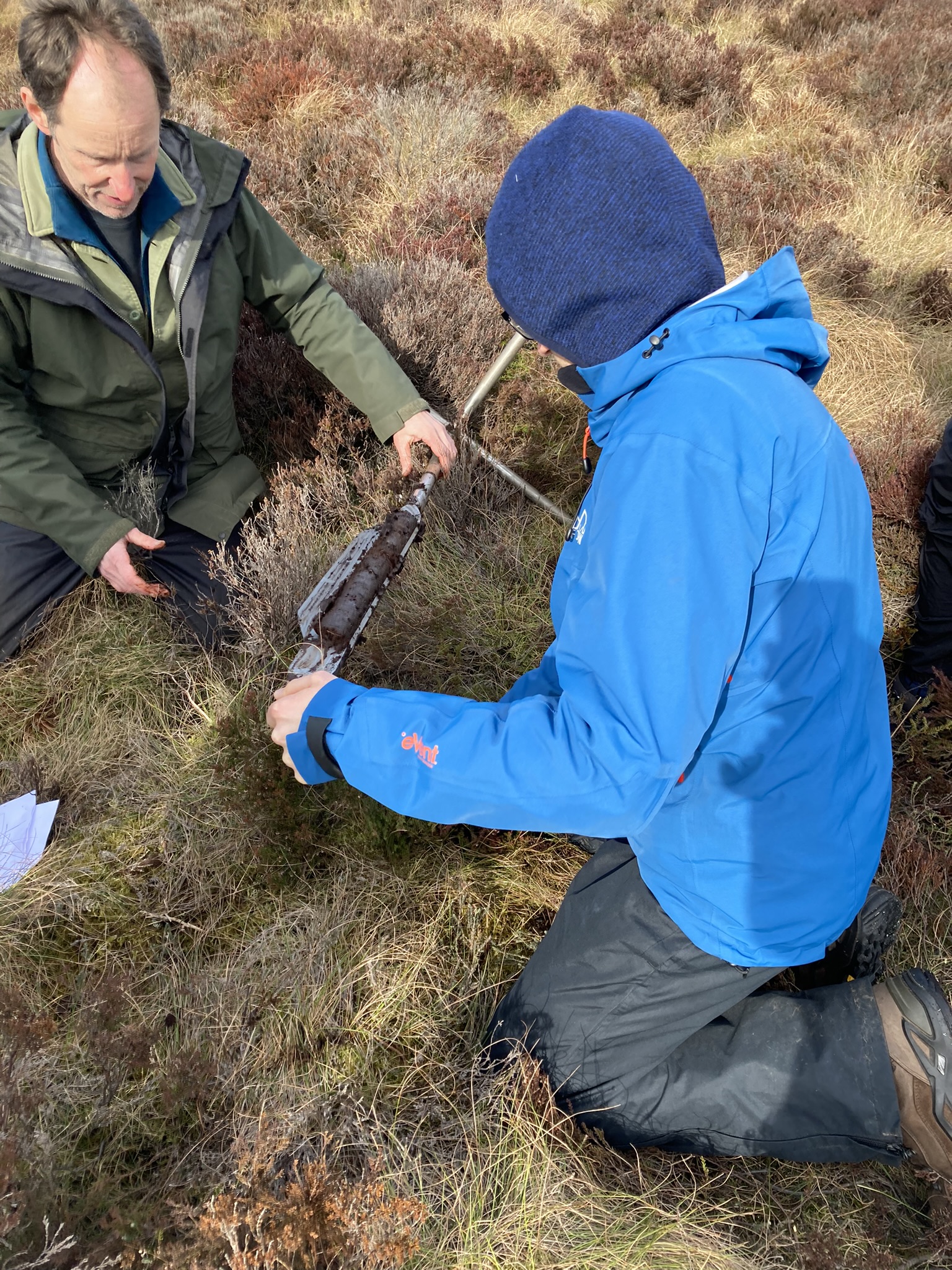 Carefully revealing the vegetation record of the past 10000 years