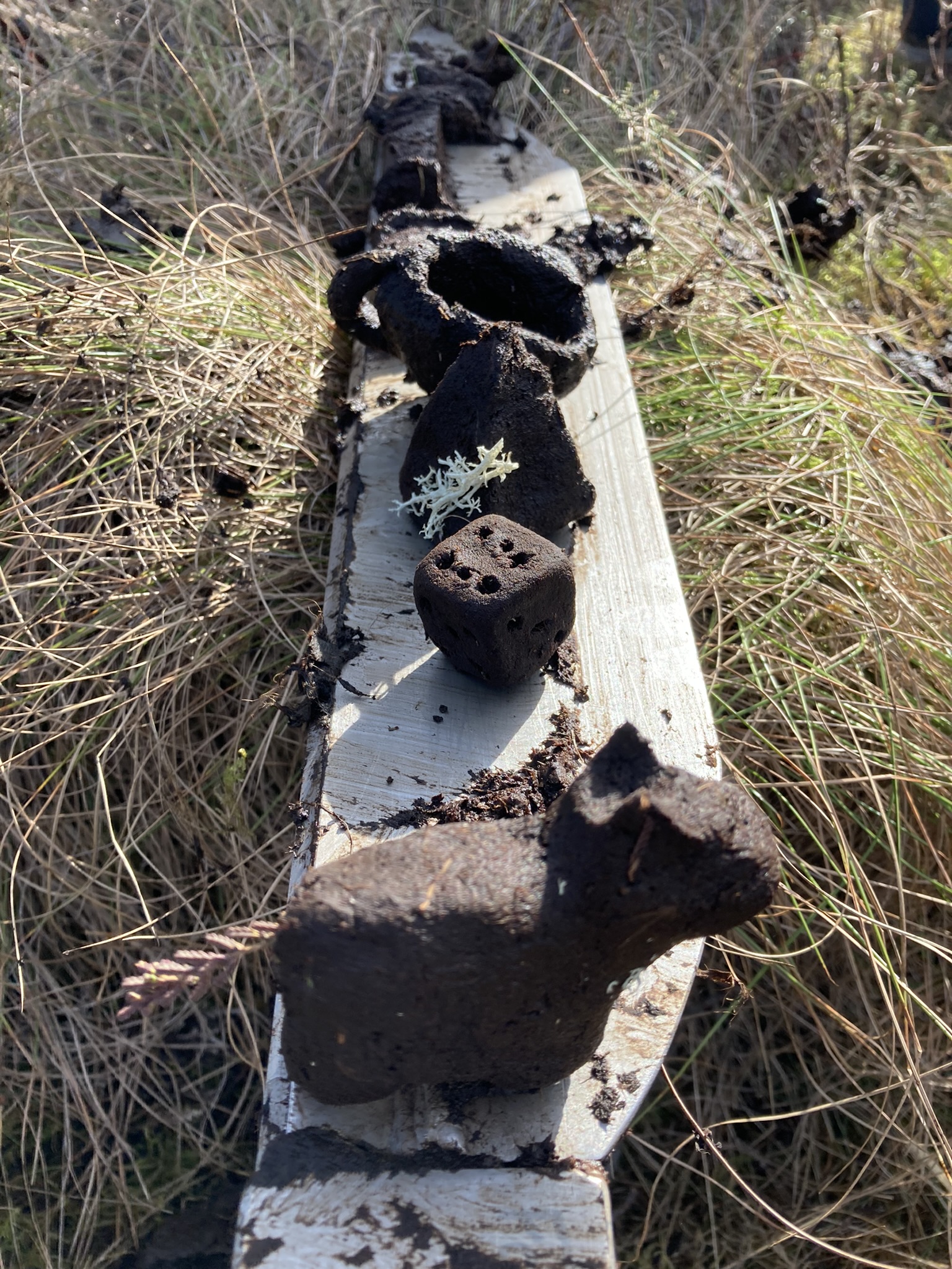 Getting creating with the peat