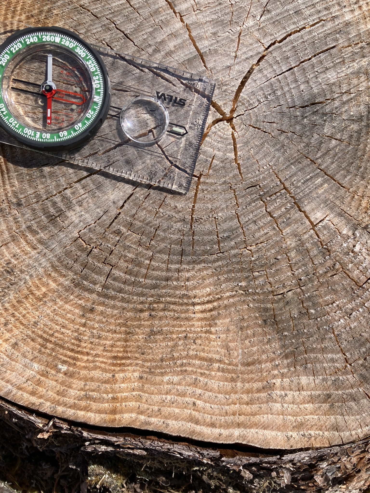 Measuring Tree Rings For Dendroclimatology
