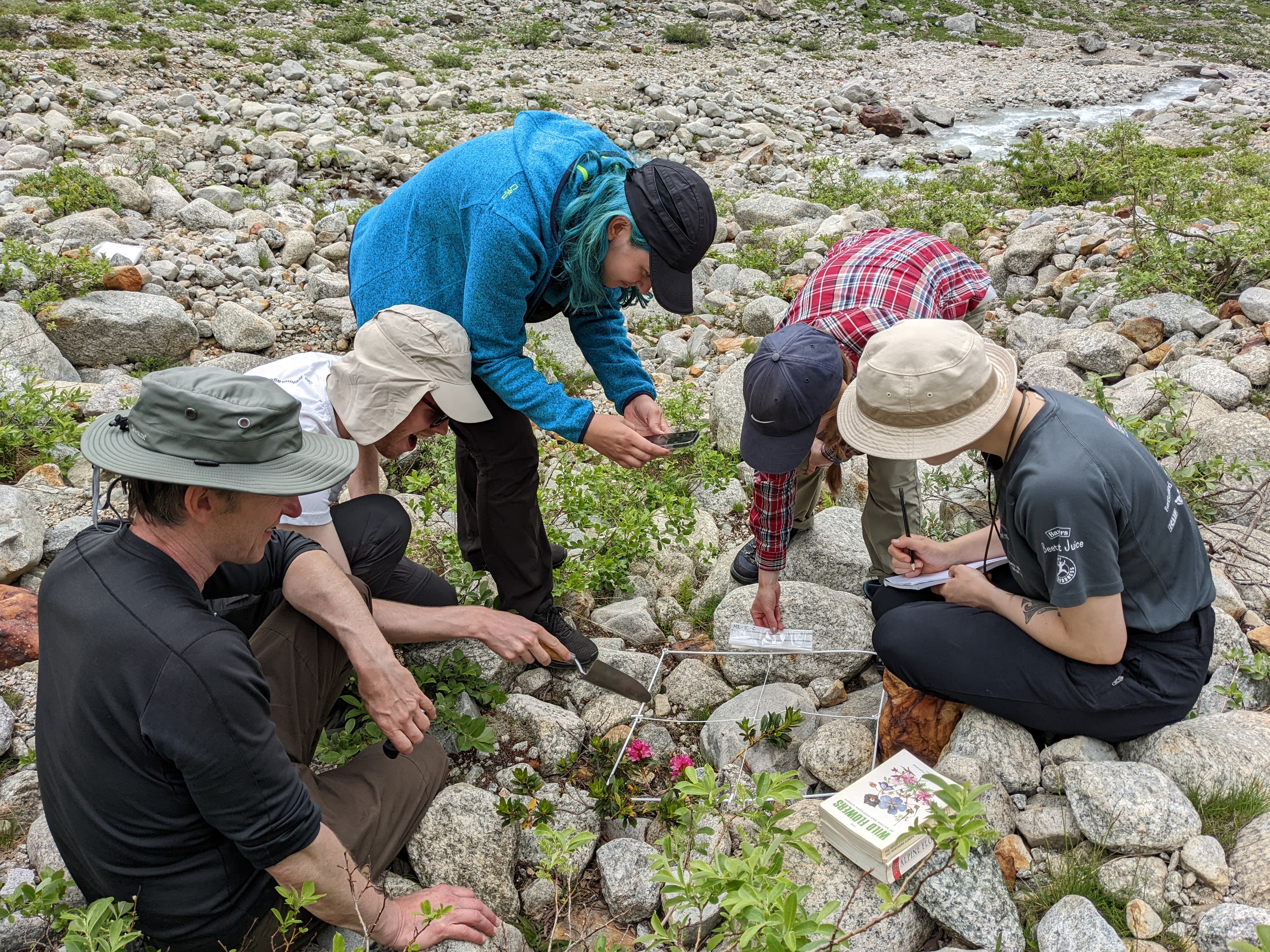 Surveying vegetation in a recently deglaciated area of the Italian Alps.